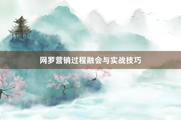 网罗营销过程融会与实战技巧