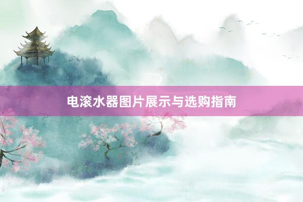 电滚水器图片展示与选购指南
