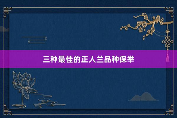 三种最佳的正人兰品种保举