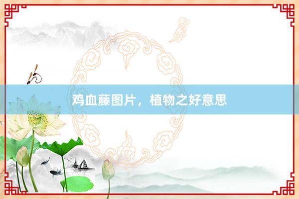 鸡血藤图片，植物之好意思